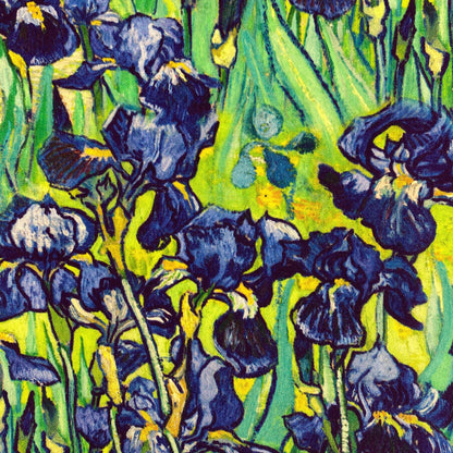 ABANICO SEDA ESTAMPADO